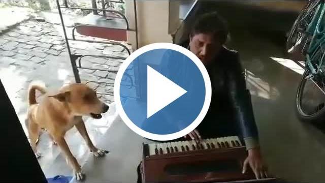 singing funny dog thumbnail